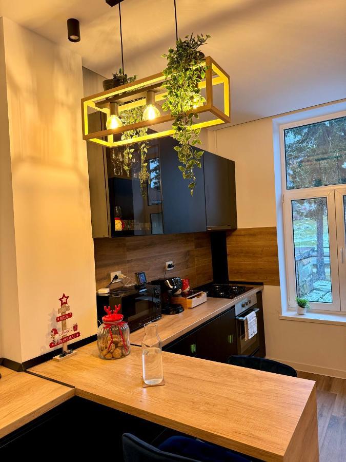 Lv Luxury Apart - One Minute Away From Train Station Predeal Exterior photo